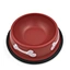 no spill pet bowl